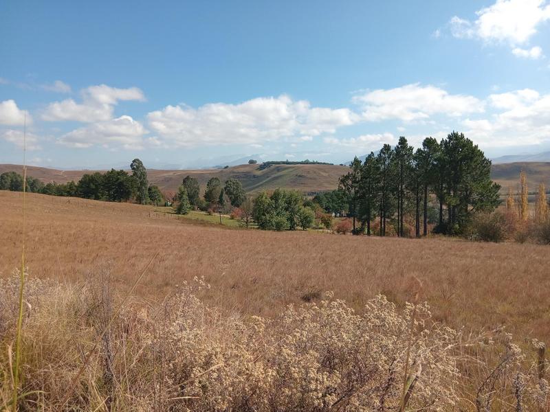0 Bedroom Property for Sale in Underberg KwaZulu-Natal