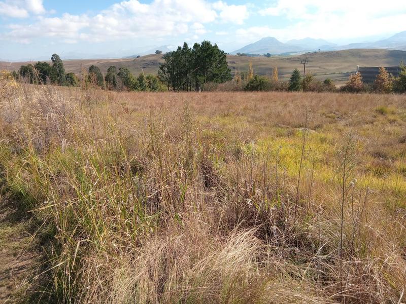 0 Bedroom Property for Sale in Underberg KwaZulu-Natal