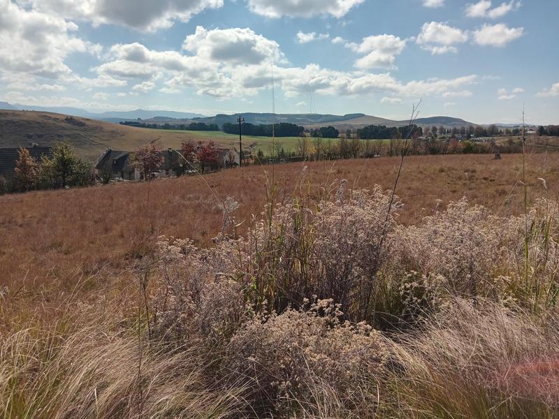 0 Bedroom Property for Sale in Underberg KwaZulu-Natal