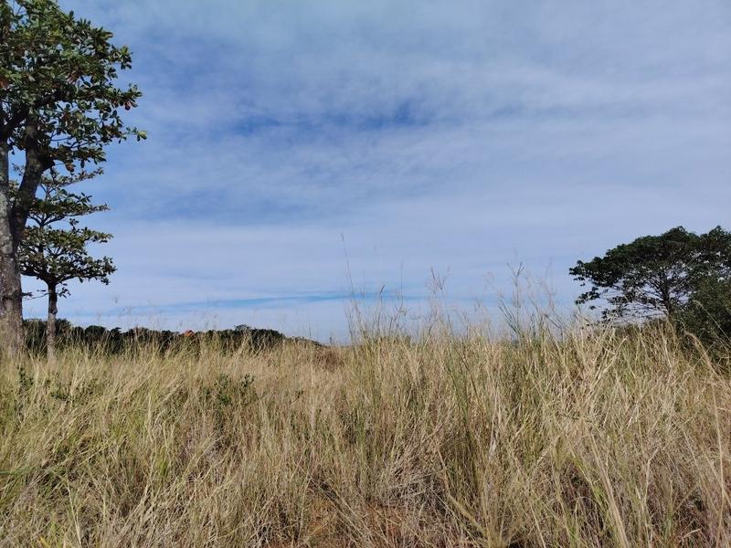 0 Bedroom Property for Sale in Zimbali Lakes Resort KwaZulu-Natal