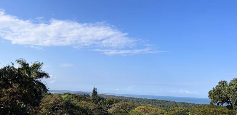5 Bedroom Property for Sale in Mtunzini KwaZulu-Natal
