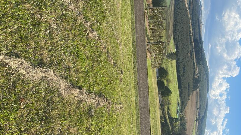 0 Bedroom Property for Sale in Dargle KwaZulu-Natal