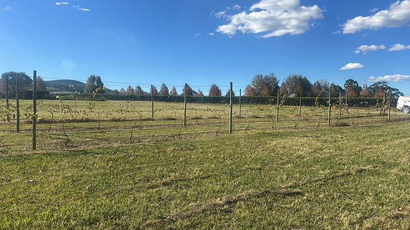 0 Bedroom Property for Sale in Dargle KwaZulu-Natal