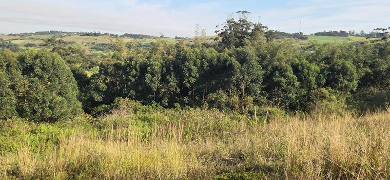 0 Bedroom Property for Sale in Zimbali Lakes Resort KwaZulu-Natal