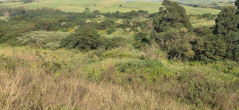 0 Bedroom Property for Sale in Zimbali Lakes Resort KwaZulu-Natal