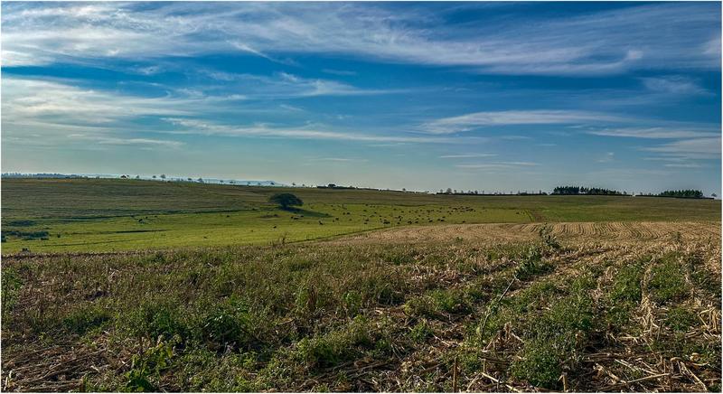 0 Bedroom Property for Sale in Mount Verde KwaZulu-Natal
