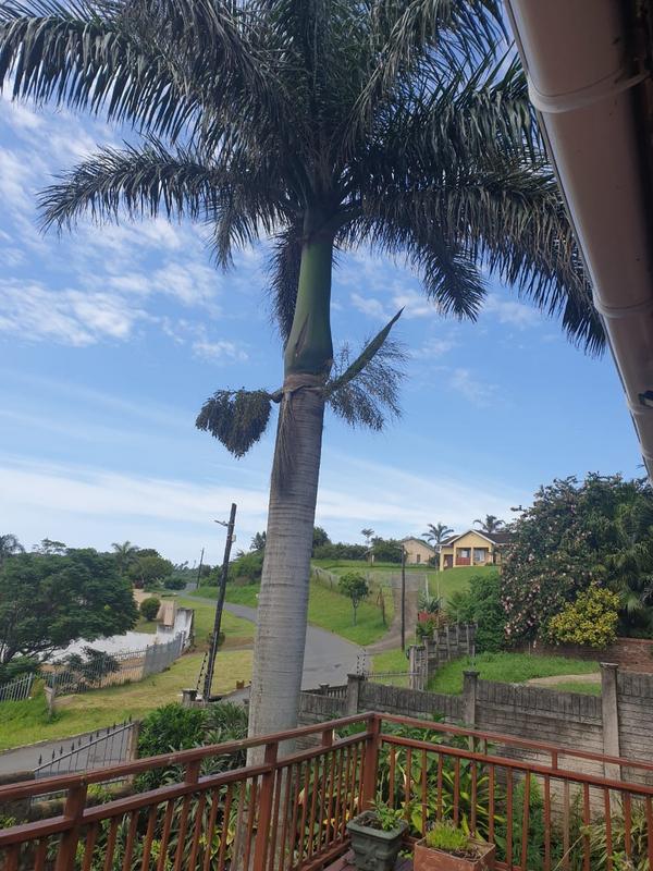 4 Bedroom Property for Sale in La Mercy KwaZulu-Natal