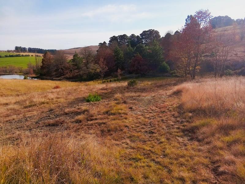 0 Bedroom Property for Sale in Underberg KwaZulu-Natal