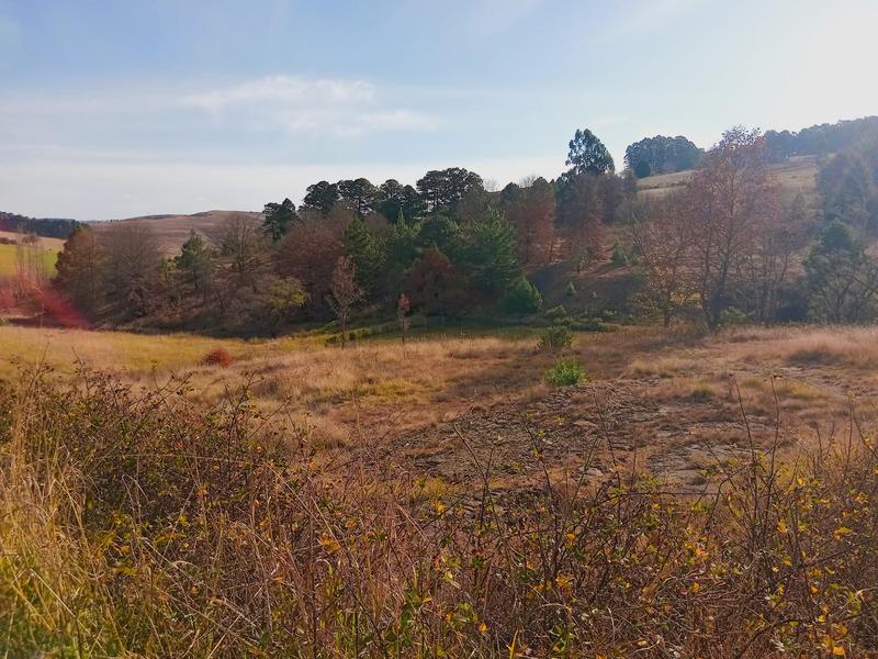 0 Bedroom Property for Sale in Underberg KwaZulu-Natal