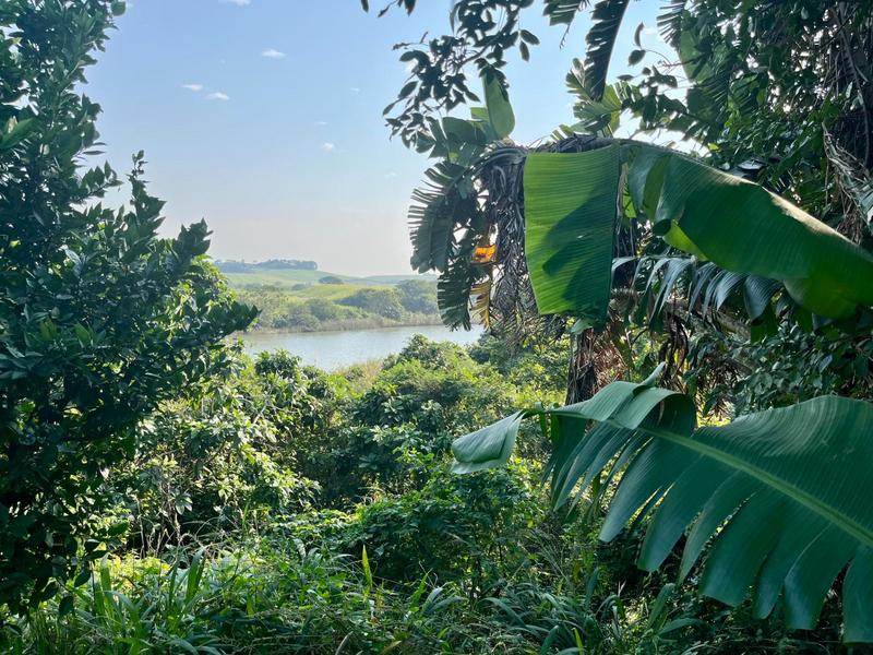 0 Bedroom Property for Sale in Mtunzini KwaZulu-Natal