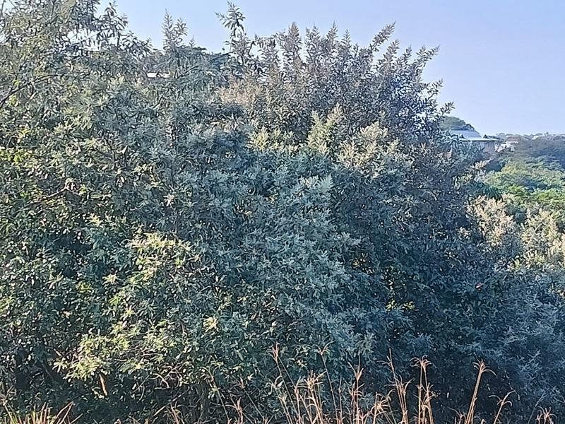 0 Bedroom Property for Sale in Simbithi Eco Estate KwaZulu-Natal