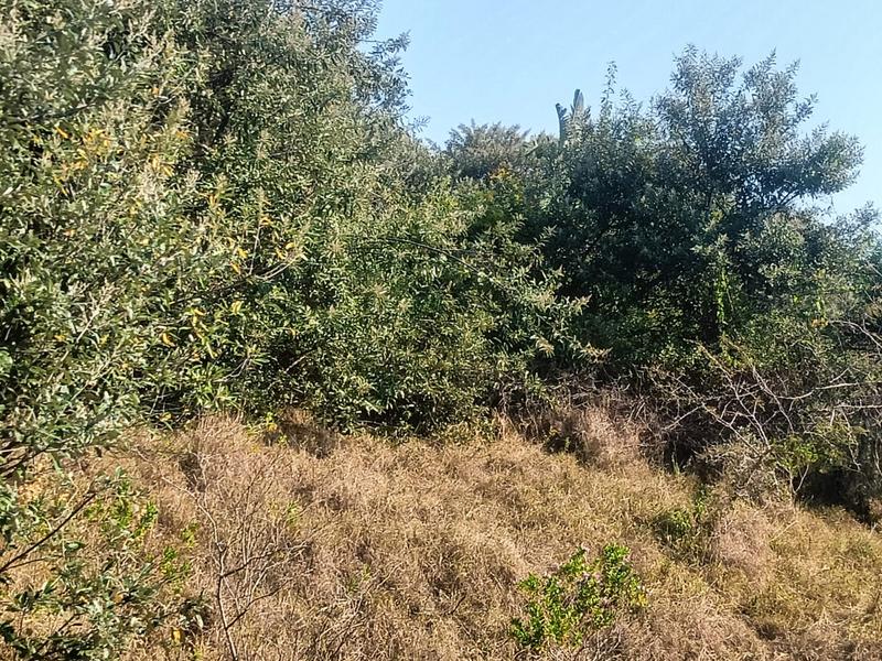 0 Bedroom Property for Sale in Simbithi Eco Estate KwaZulu-Natal
