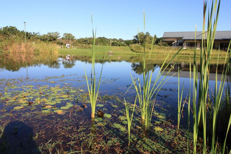 0 Bedroom Property for Sale in Simbithi Eco Estate KwaZulu-Natal
