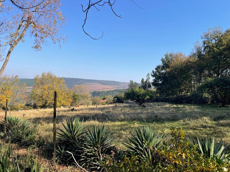4 Bedroom Property for Sale in Greytown KwaZulu-Natal