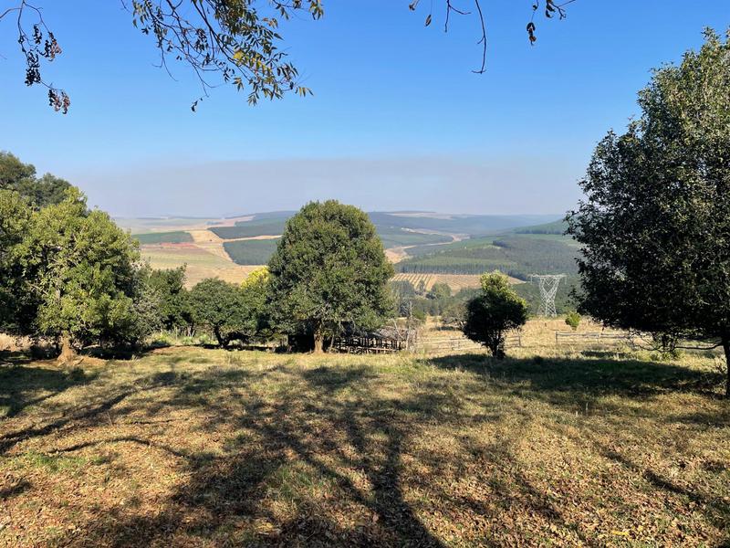 4 Bedroom Property for Sale in Greytown KwaZulu-Natal