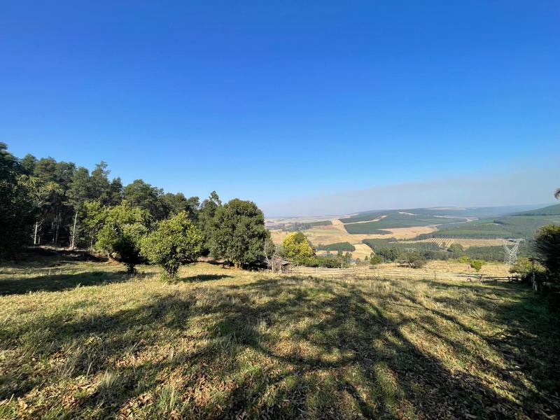 4 Bedroom Property for Sale in Greytown KwaZulu-Natal