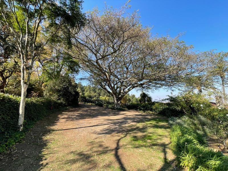 4 Bedroom Property for Sale in Greytown KwaZulu-Natal