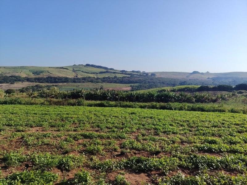 0 Bedroom Property for Sale in Genazzano KwaZulu-Natal