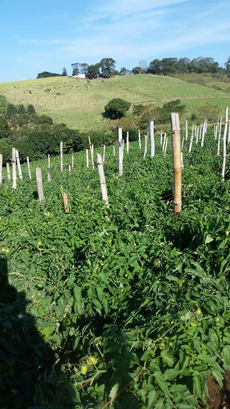 0 Bedroom Property for Sale in La Mercy KwaZulu-Natal