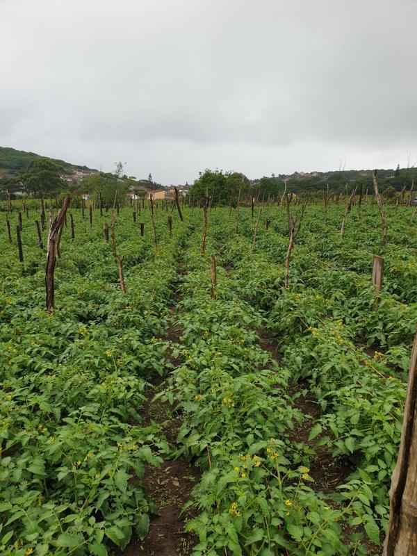 0 Bedroom Property for Sale in La Mercy KwaZulu-Natal
