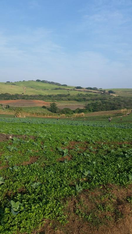 0 Bedroom Property for Sale in La Mercy KwaZulu-Natal