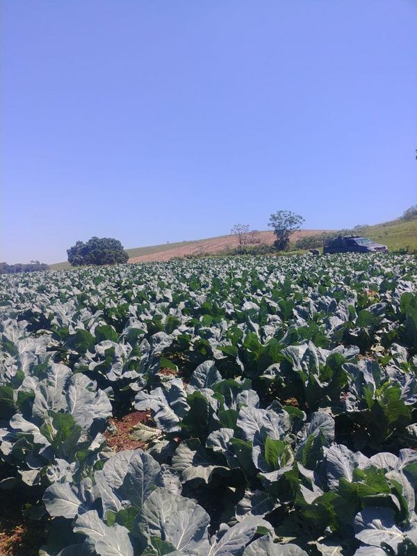 0 Bedroom Property for Sale in La Mercy KwaZulu-Natal