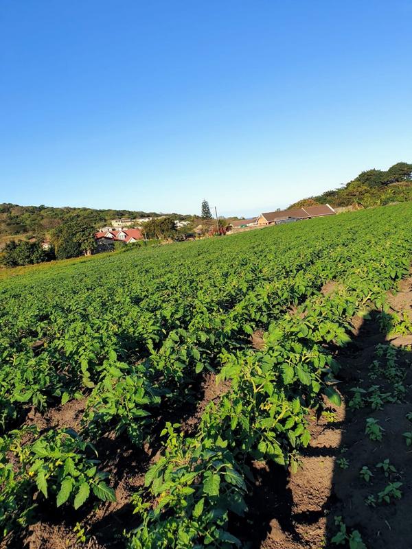 0 Bedroom Property for Sale in La Mercy KwaZulu-Natal