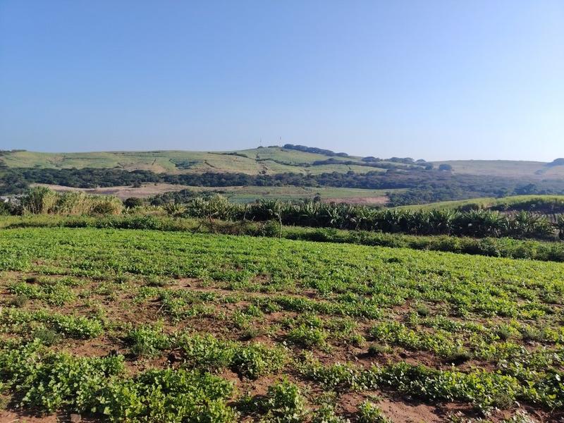 0 Bedroom Property for Sale in La Mercy KwaZulu-Natal