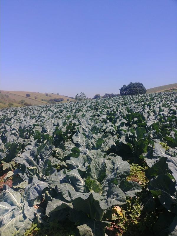 0 Bedroom Property for Sale in La Mercy KwaZulu-Natal
