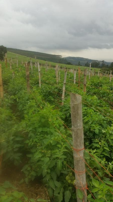 0 Bedroom Property for Sale in La Mercy KwaZulu-Natal
