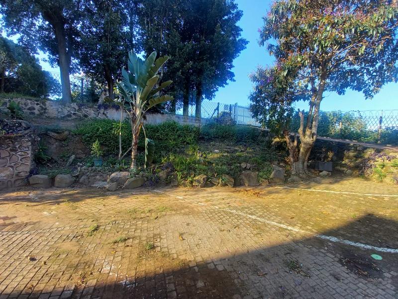 To Let 3 Bedroom Property for Rent in Westville KwaZulu-Natal
