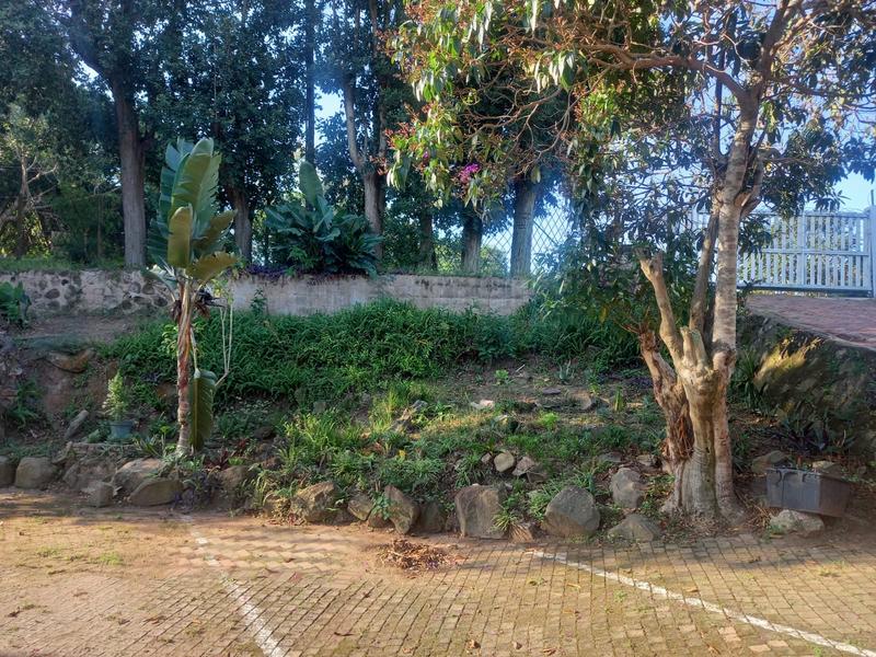 To Let 3 Bedroom Property for Rent in Westville KwaZulu-Natal