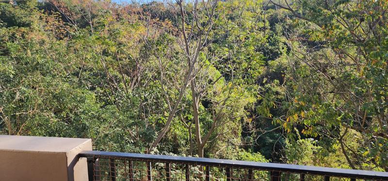 2 Bedroom Property for Sale in Westville KwaZulu-Natal