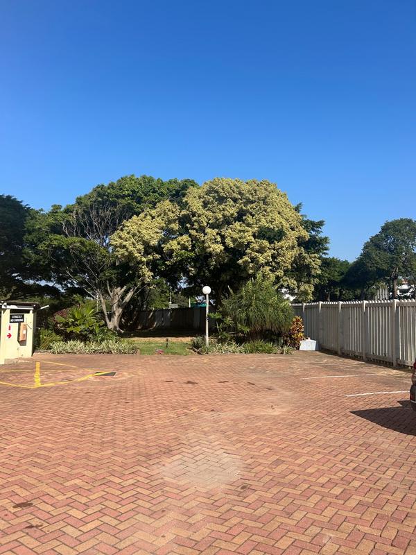 To Let 3 Bedroom Property for Rent in Durban North KwaZulu-Natal