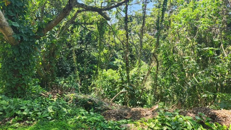 0 Bedroom Property for Sale in Umtentweni KwaZulu-Natal