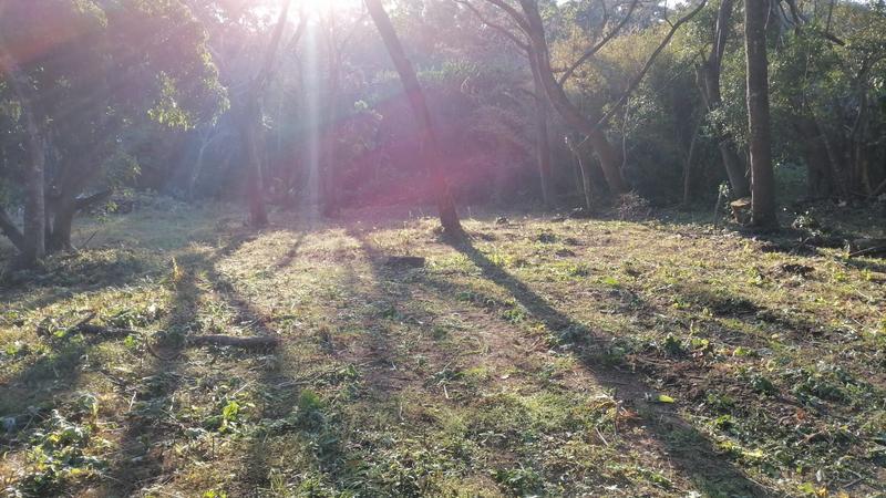 0 Bedroom Property for Sale in Pennington KwaZulu-Natal