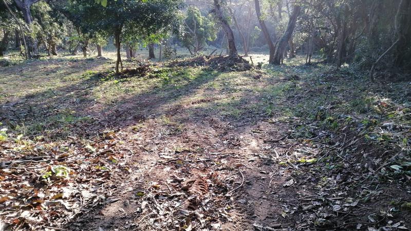 0 Bedroom Property for Sale in Pennington KwaZulu-Natal