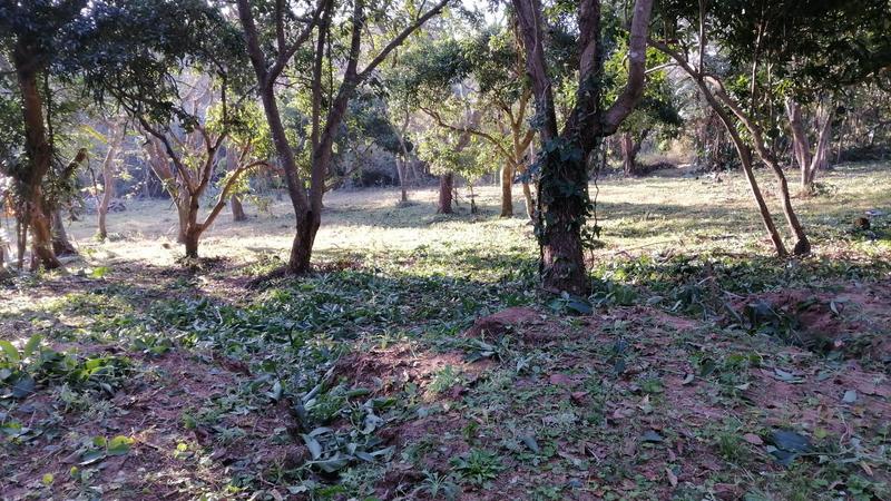 0 Bedroom Property for Sale in Pennington KwaZulu-Natal
