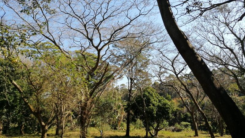 0 Bedroom Property for Sale in Pennington KwaZulu-Natal
