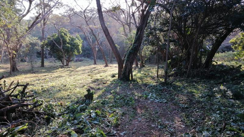 0 Bedroom Property for Sale in Pennington KwaZulu-Natal