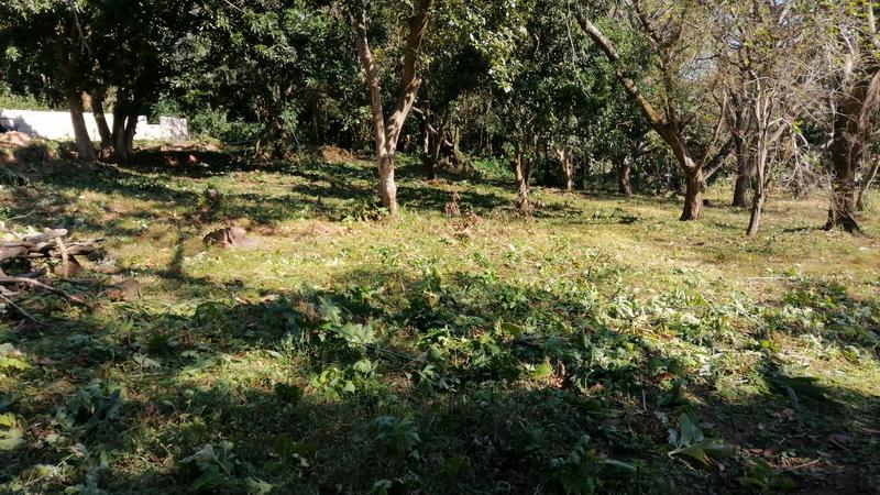 0 Bedroom Property for Sale in Pennington KwaZulu-Natal