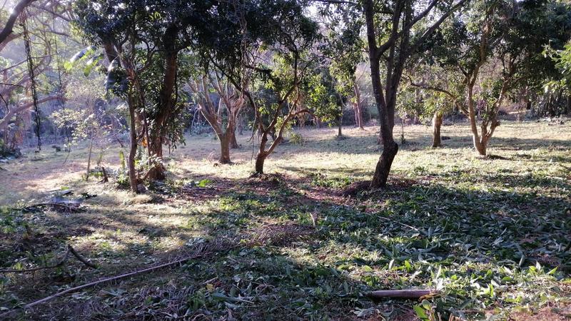 0 Bedroom Property for Sale in Pennington KwaZulu-Natal