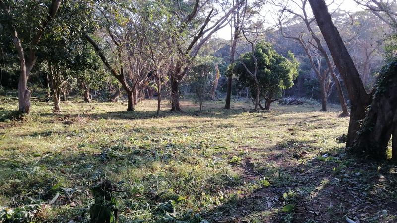 0 Bedroom Property for Sale in Pennington KwaZulu-Natal