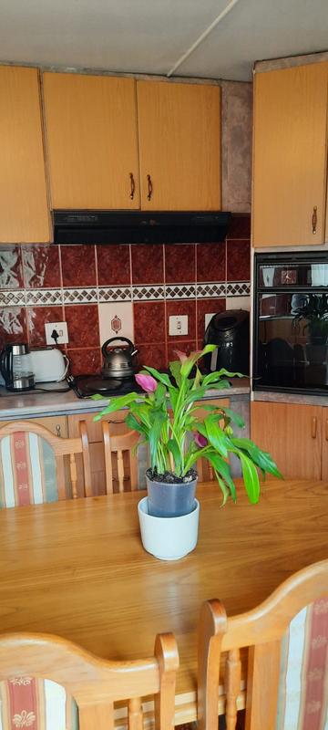 4 Bedroom Property for Sale in Bonela KwaZulu-Natal