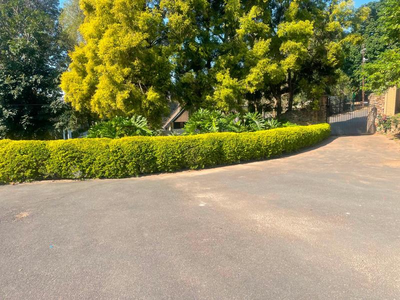 To Let 1 Bedroom Property for Rent in Westville KwaZulu-Natal