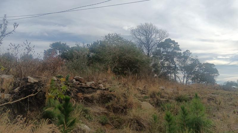 0 Bedroom Property for Sale in Margate KwaZulu-Natal