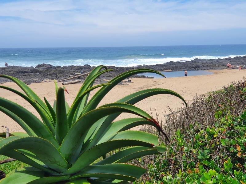 6 Bedroom Property for Sale in Umtentweni KwaZulu-Natal