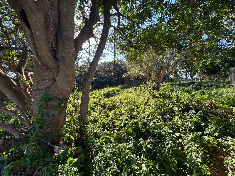 0 Bedroom Property for Sale in Mtunzini KwaZulu-Natal