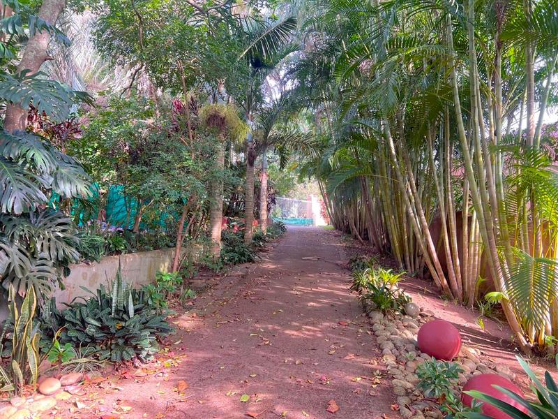 5 Bedroom Property for Sale in Marina Beach KwaZulu-Natal