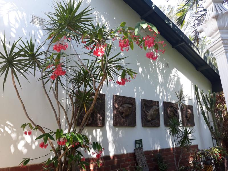5 Bedroom Property for Sale in Marina Beach KwaZulu-Natal